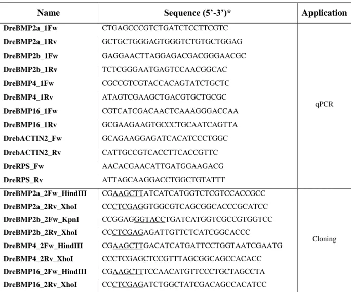 Table  1.  PCR  primers  used  in  this  study  to  assess  gene  expression  and  subclone  coding  sequences  in  expression  vectors