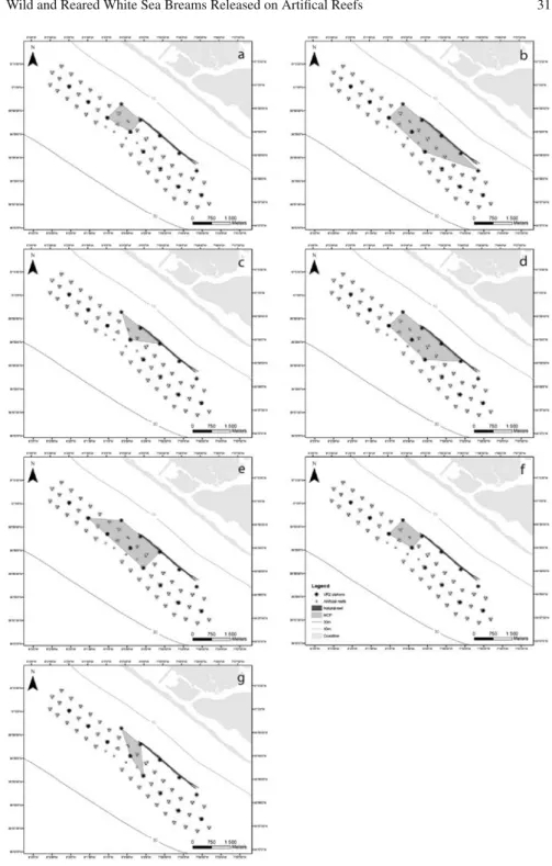 Fig. 4 Minimum Complex Polygon (MCP) of the wild (a–e) and the hatchery produced and reared (f–g) white sea bream