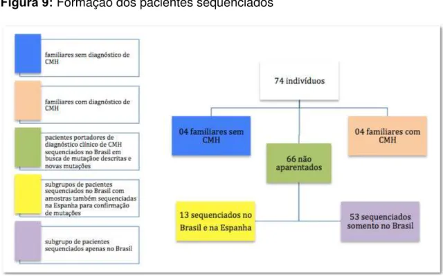 Figura 9: Formação dos pacientes sequenciados 