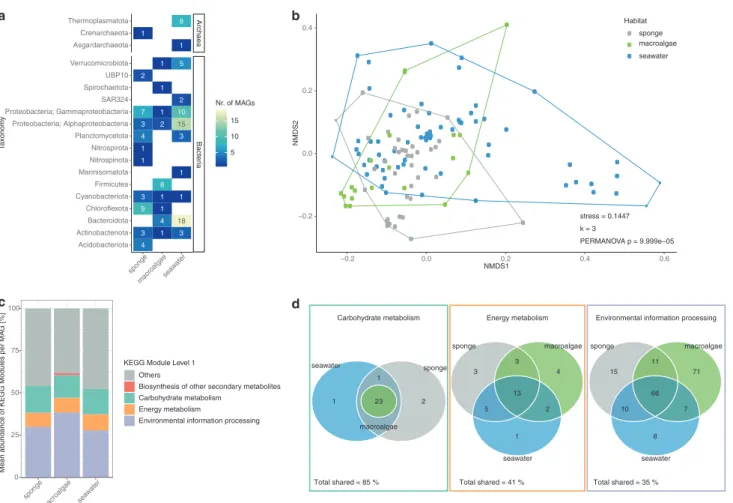 Fig. 1 Functional diversity of metagenome-assembled genomes based on 95% average nucleotide identity (MAGs 95%ANI )  asso-ciated with sponge tissue, macroalgae bio ﬁ lms and seawater.