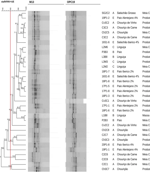 Figura  d:  Dendrograma  de  semelhança  genómica  para  Lactobacillus  sakei  obtido  a  partir  dos  perfis  de  PCR- PCR-fingerprinting  com  os primers  M13  e  OPC19