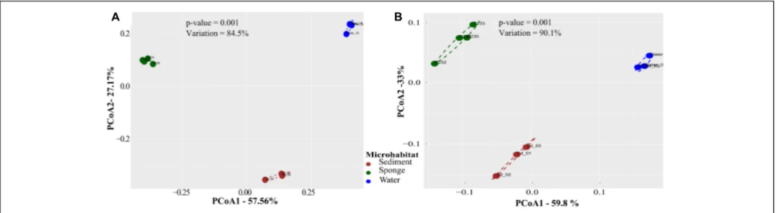 FIGURE 1 | Principal coordinates analysis (PCoA) of taxonomic (A) and functional (B) microbial community profiles across biotopes