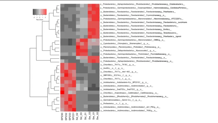 FIGURE 3 | Heat map of the most differentiating OTUs across biotopes. Shown are the 31 OTUs (97% cut-off) found to oscillate the most among biotopes, explaining > 32% of the variation in the OTU dataset