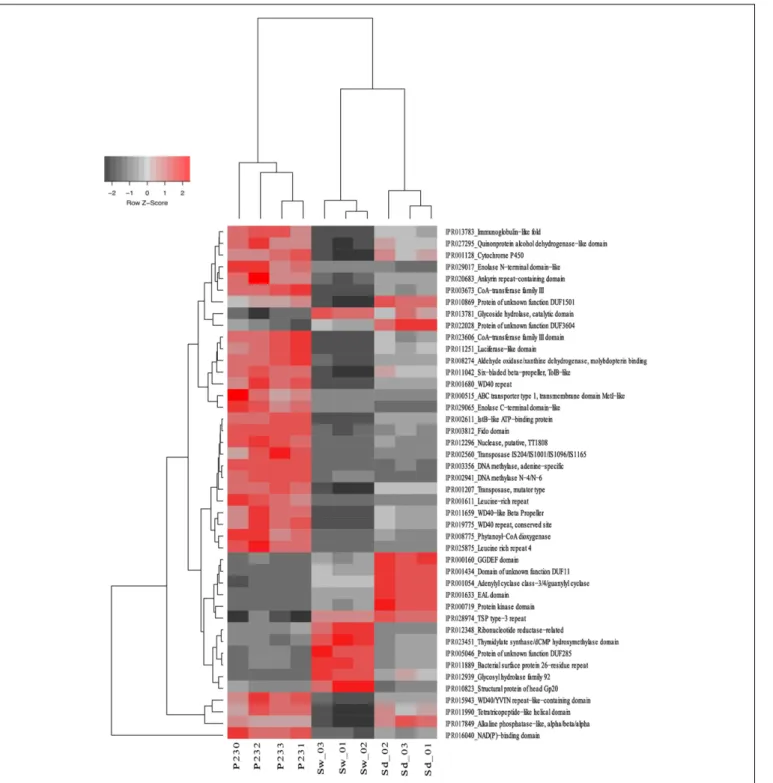 FIGURE 4 | Heat map of the 44 most differentiating IPR entries across biotopes. The dendrogram clusters IPR entries according to their abundance distributions across biotopes, labeled at the bottom of the diagram