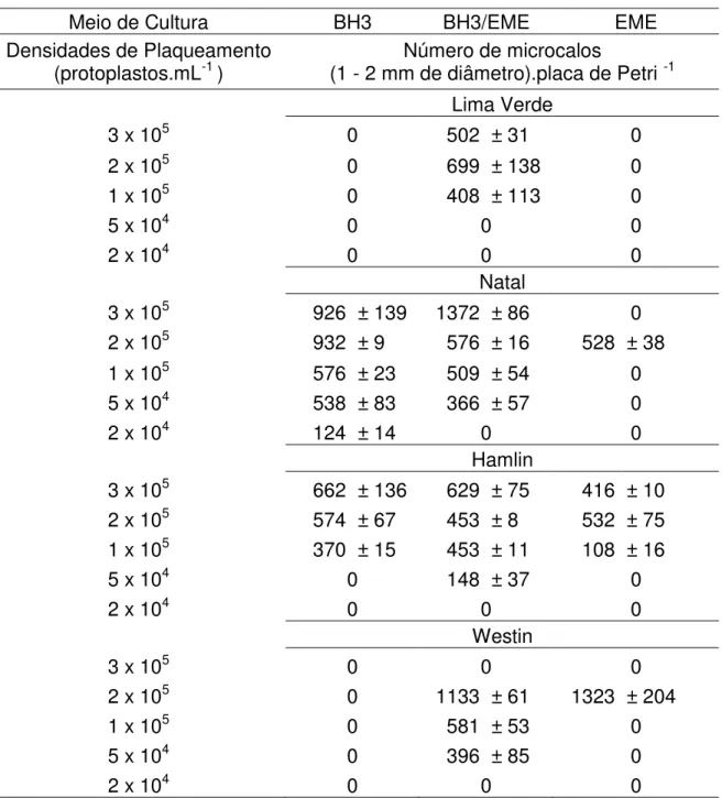 Tabela 1  –  Desenvolvimento de protoplastos de laranja doce (Citrus sinensis) em função da densidade de  plaqueamento (protoplastos.mL -1 ) e da composição do meio de cultura 