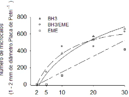 Figura  3  –   Valores  observados  (símbolos)  e  estimados  (linhas)  da  resposta  do  número  de  microcalos  formados de laranja  „Hamlin‟ às densidades e meio de cultura no plaqueamento.