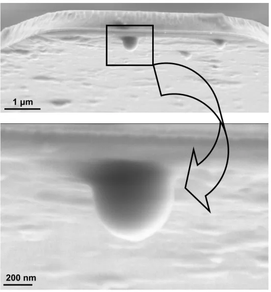 Figura 6 – Micrografias eletrônicas de varredura de uma partícula PS/CH grudada na  extremidade de um cantilever