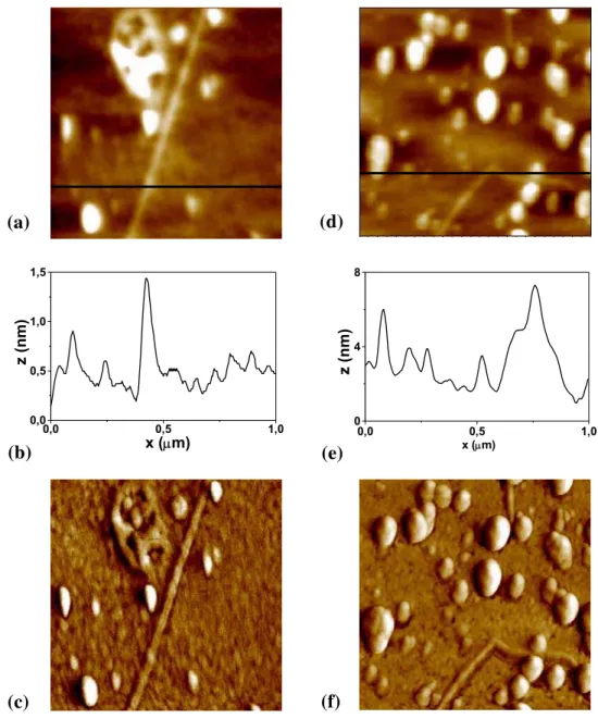 Figura 8 - Imagens de AFM 1 μm x 1 μm: (a) topografia, (b) a correspondente secção  transversal e (c) imagem de fase de HXG depositada sobre superfície aminada; (d) topografia,  (e) a correspondente secção transversal e (f) imagem de fase de TXG depositada