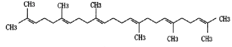 Figura 3 – Estrutura química do esqualeno. Fonte: Ko, Weng, Chiou (2002). 