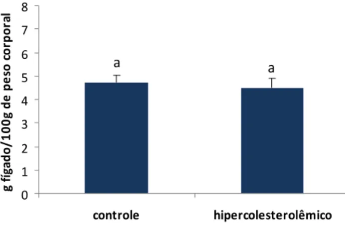 Figura 9  – Relação peso do fígado/peso corporal dos animais dos grupos controle e  hipercolesterolêmico