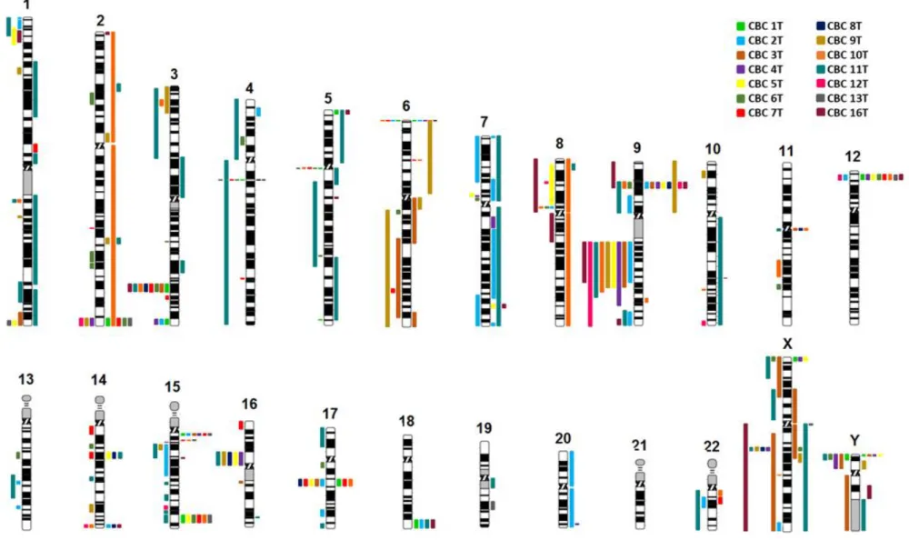 Figura 4.1. Idiograma representativo das alterações encontradas, pela técnica de array-CGH, nas amostras tumorais de carcinoma basocelular de doentes com histórico de radioterapia