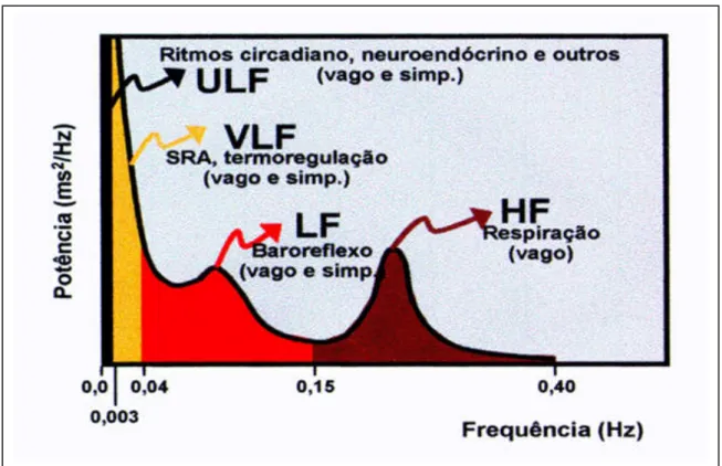 Figura  2  -    Análise    espectral  da  VFC:  componentes,  bandas,  nervos  eferentes  e    moduladores  fisiológicos (ANIS RASSI JR., 1996)