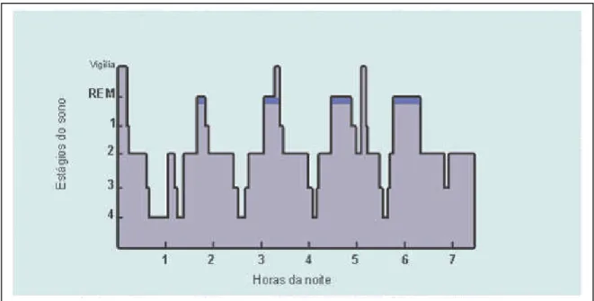 Figura 3 - Arquitetura do sono fisiológico em adulto jovem (KANDEL e cols, 2001) 
