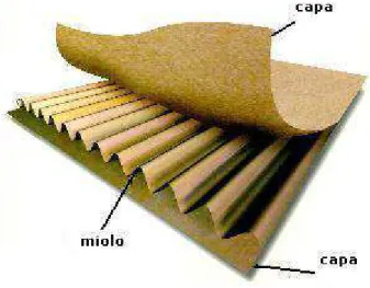 Figura 1 – Estrutura do papel ondulado (ABPO, 2004) 