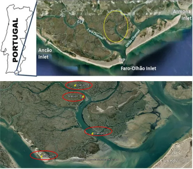 Figure 2.2: Sample location of the Ria Formosa lagoon on the south coast of Portugal (upper image)