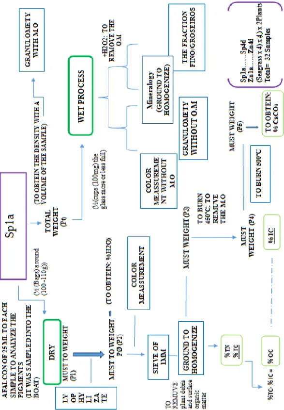 Figure 2.4: Process scheme followed for each of the sample. The example is with Sp1a sample that is the “a” 