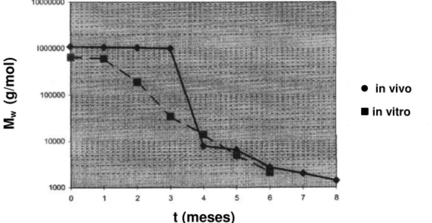 Figura  2.9    Variação  da  massa  molar  ( M w )  durante  a  degradação  do  copolímero  (PLL 85 CL 50 )  na  forma  de  barras  in  vivo  e  na  forma  de  guias  de  nervos  in  vitro