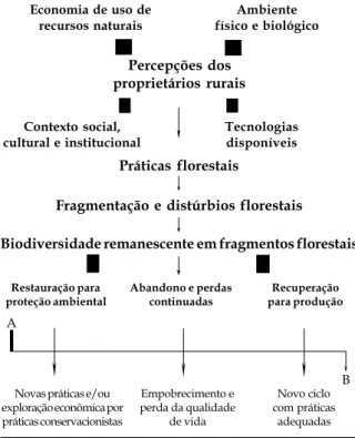 Figura 1. Fragmentação florestal (A ) e estratégias alternativas para problemas associados à fragmentação florestal (B) (adaptado de Viana, 1995).