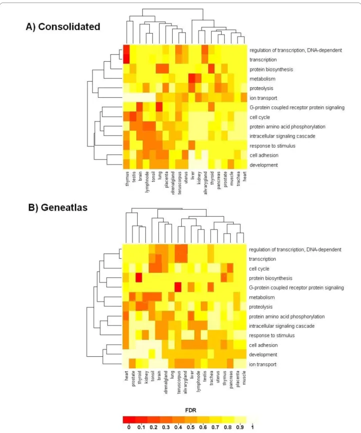 Figure 8 Cluster image map for the GO analysis of the consolidated gene lists and of the Geneatlas data set