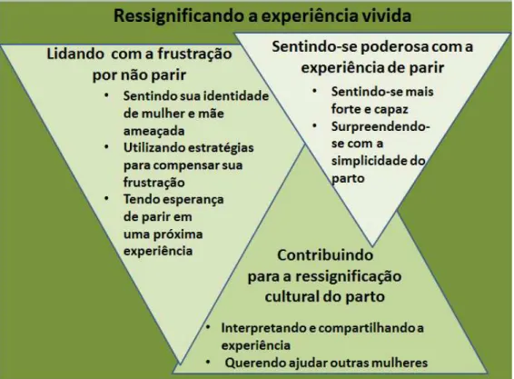 Figura 4: Categoria “Ressignificando a experiência vivida”, suas  subcategorias e componentes 