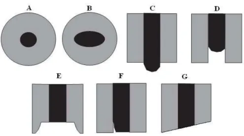 Figura  4: Diferentes formas de microeletrodos de disco: (A) microeletrodo em perfeitas condições,  (B) microfibra encapsulada com um certo ângulo em relação a parte isolante gerando uma elipse, (C)  saliência irregular do microdisco, (D) saliência irregul