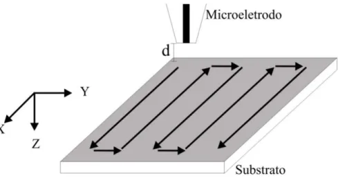 Figura 10: Representação esquemática do modo de varredura (meander) utilizado para obtenção de  imagens SECM