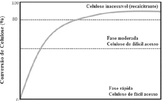 Figura 2.3: Fases do pro Saddler, 2011). 