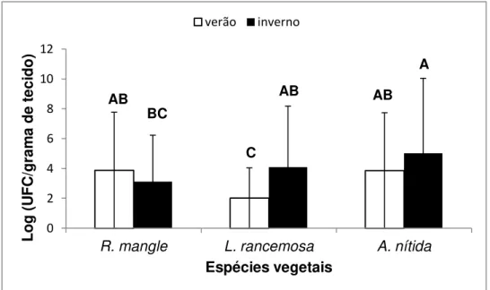Figura  2  -  Número  de  bactérias  endofíticas  presentes  nos  ramos  de  R.  mangle,  L