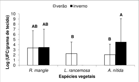 Figura 3  -   Número de bactérias endofíticas presentes nos ramos de  R.  mangle,  L. 