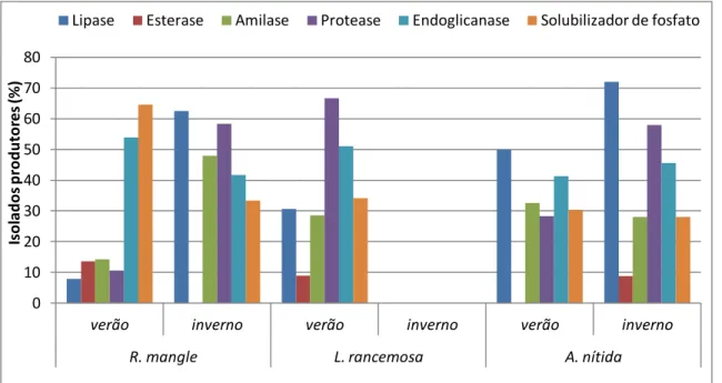 Figura 7 -  Percentual de produção enzimática das bactérias endofíticas isoladas do  manguezal  não  impactado  em  Bertioga  obtidas  de  três  plantas  R