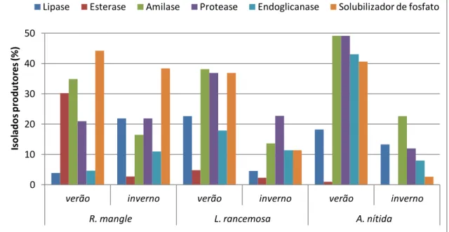 Figura 8 -  Percentual de produção enzimática das  bactérias endofíticas isoladas do  manguezal de Cananéia obtidas de três plantas R