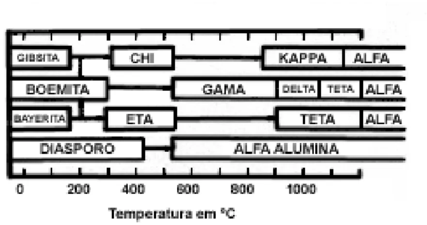 Figura 1.2 - Seqüência de desidratação dos hidratos de alumina [5] 