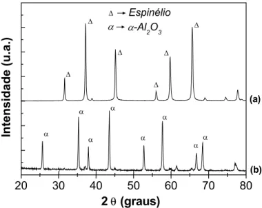 Figura 4.4 - Difração de raios X das amostras contendo 5 mol% Mg sintetizadas  em ar seco (a) e contendo H 2 O (b) após ensaio de DTA em atmosfera seca