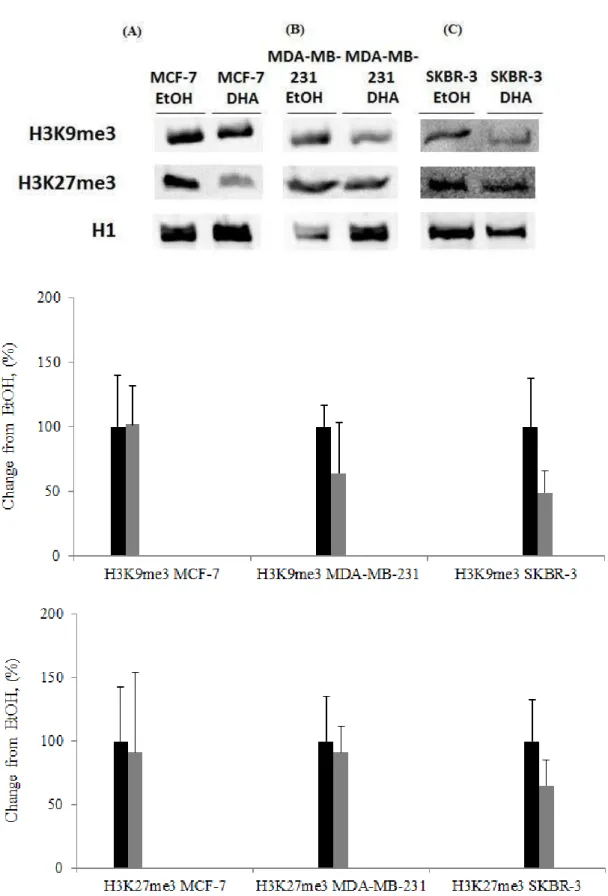 Figura  4:  Representações  de  três  ensaios  independentes  da  análise  de  trimetilação  no  resíduo  de  lisina  9  histona  3  (H3K9me3)  e  no  resíduo  27  histona  3  (H3K27me3)  nas  linhagens  MCF-7,  MDA-MB-231  e  SKBR-3