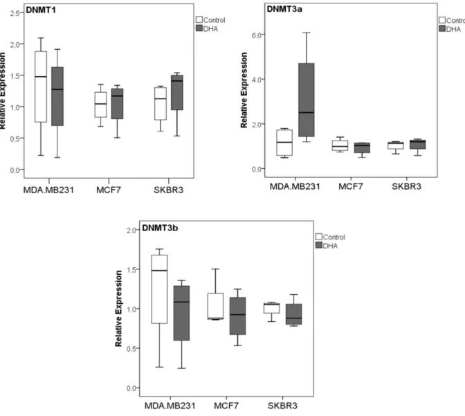 Figura 7:  Box plots representativos das expressões relativas dos genes DNMT1, DNMT3A  e  DNMT3B  por  RT-qPCR  das  linhagens  MDA-MB-231,  MCF-7  e  SKBR3