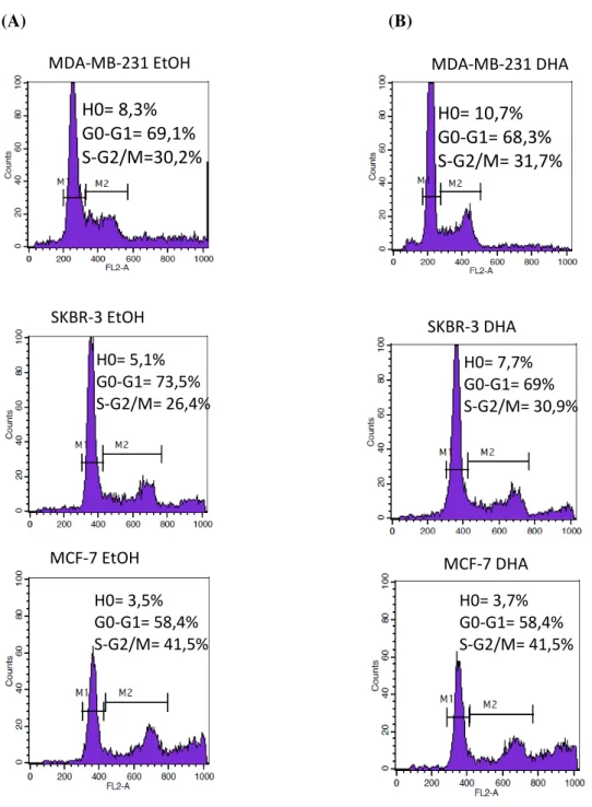 Figura 8: Histogramas (FL2A) representativos da distribuição no ciclo celular das linhagens  MDA-MB-231,  SKBR-3  e  MCF-7