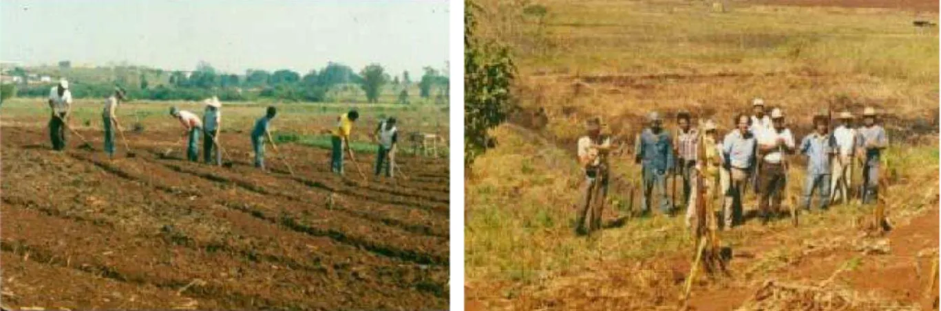 Figura 1: Associados preparando a terra para plantio; 