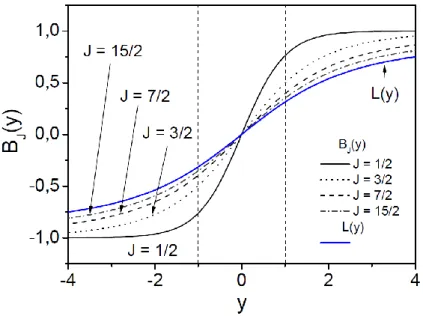 Figura 2.1 – Função de Brillouin, BJ(y), para vários valores de  J.  Para  J  =  ∞,  a  função  de  Brillouin  pode  ser  descrita  pela  função de Langevin, L(y) (limite clássico).