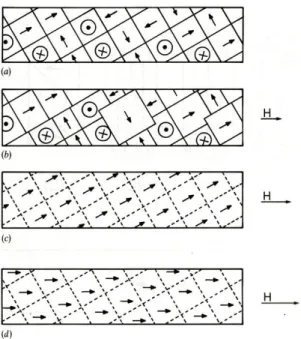 Figura  2.3  -  As várias fases que ocorrem nos domínios com o aumento do campo aplicado  até o material atingir a saturação