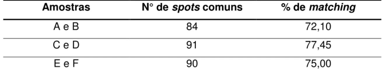 Tabela 7  –  Spots comuns identificados entre os géis de referência das amostras de  soja parentais e suas respectivas derivadas GM