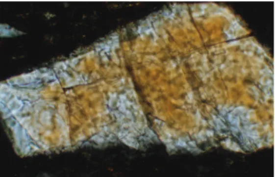 Fig. 14 – Amostra 20  Tipo A. Observa-se  cristal de piroxena  em matriz fina  argilo--pelítica, com  palhe-tas de mica