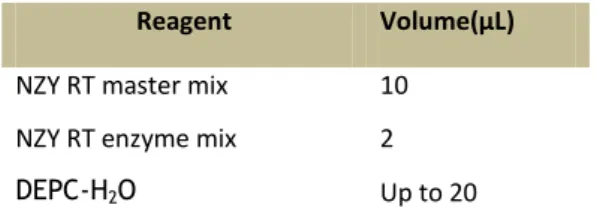 Table III.1. Volumes and reagents used in cDNA synthesis reaction mix 