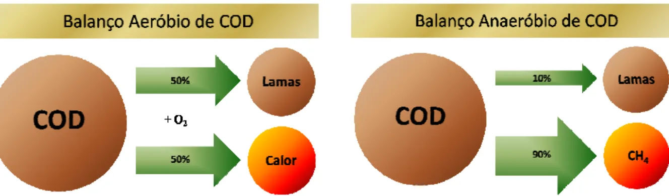 Fig. 1.4 – Esquema comparativo do balanço de COD entre condições anaeróbias e aeróbias (adaptado de  Field, 2002)