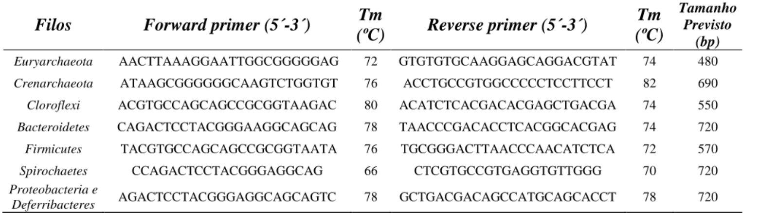 Tabela  3.1  –  Sequência  e  características  relevantes  dos  primers  de  oligonucletótidos  desenhados  e  utilizados  neste  trabalho