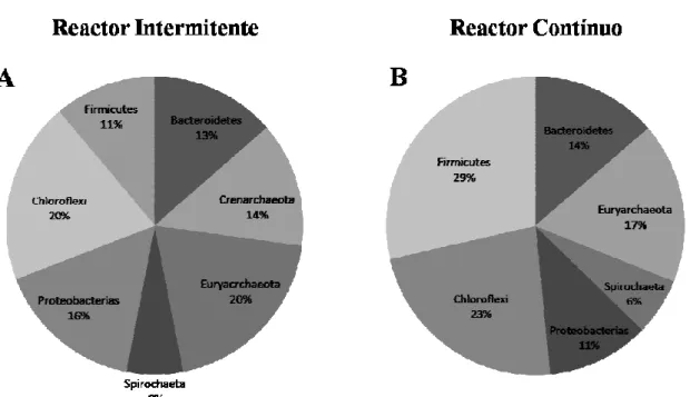 Fig.  3.2  –  Representação  gráfica  do  número  total  de  clones  obtidos  por  cada  filo  para  o  reactor  a  operar de modo intermitente (A) e para o reactor o operar de modo contínuo (B)