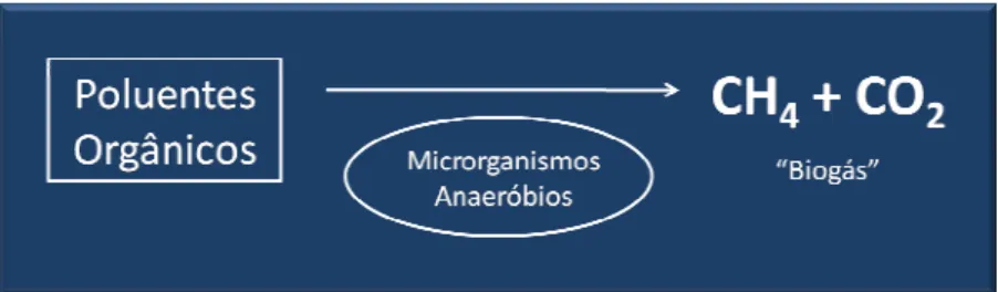Fig. 1.1 – Esquema representativo do princípio do processo do tratamento anaeróbio para poluentes  orgânicos em águas residuais