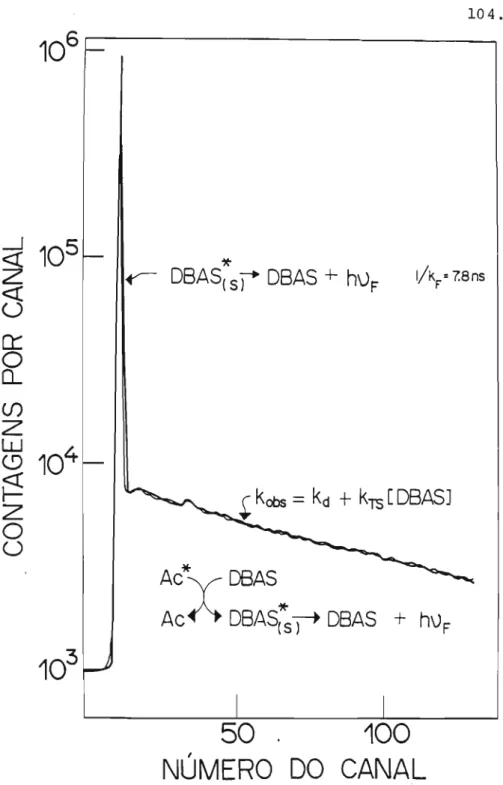 Figura 4.5. - Exemplo genérico de Projeção log I vs tempo, obtida em experimentos de fotoexcitação por pulsos.