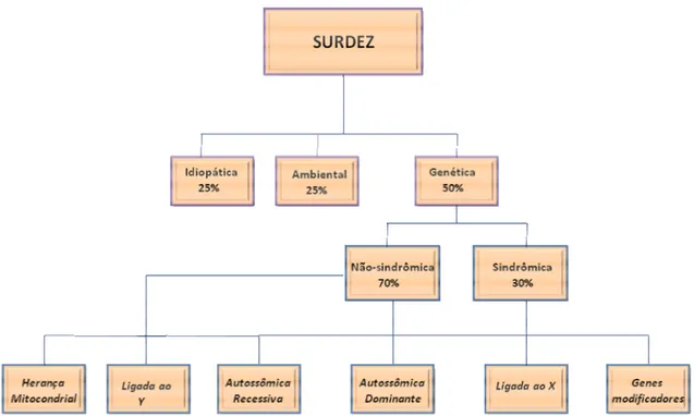 Figura 3 – Causas da surdez (baseado em van Camp e Smith, 2009, em Gene Reviews). 