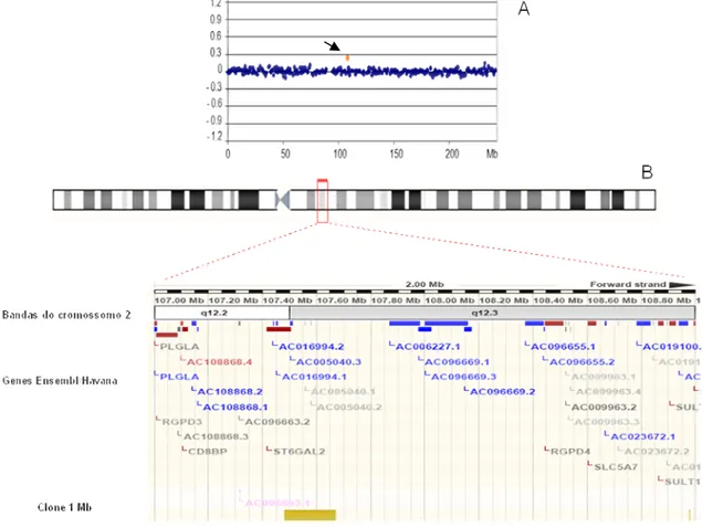 Figura  10  –  Duplicação  em  2q12.3q12.3  no  Paciente  19.  (A)  Perfil  do  cromossomo  2  por  aCGH