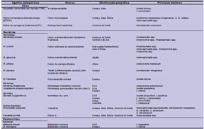 Tabela 1.1: Principais agentes patogénicos transmitidos ao homem por carraças. (Silva et al., 2006) 